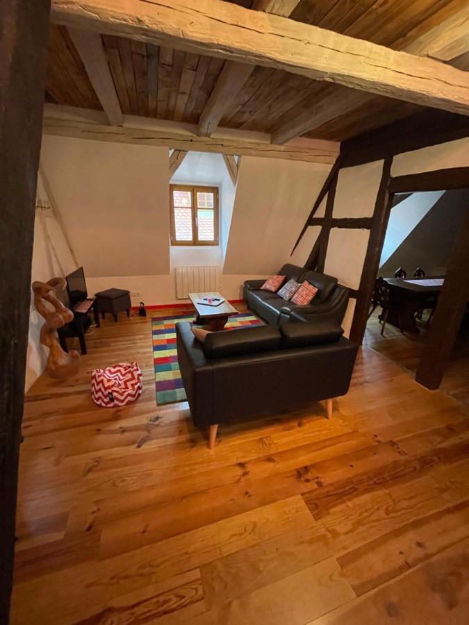 Apartament Les Epicuriens Du Rempart Eguisheim Zewnętrze zdjęcie